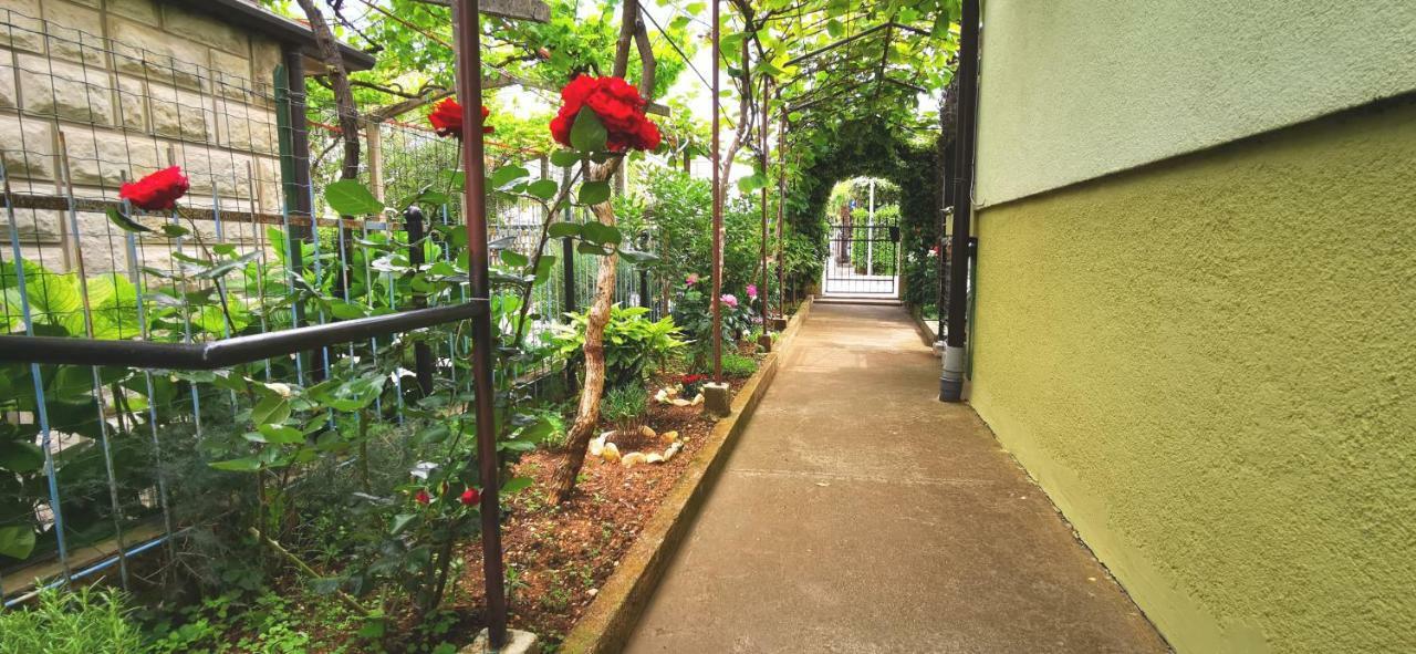 אומאג Apartments Grassi By Rent Istria מראה חיצוני תמונה